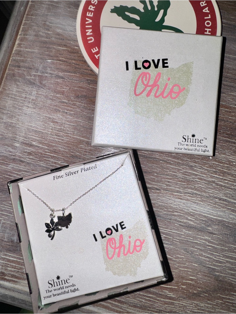 I Love Ohio Silver-Plated Leaf & State Charm Necklace — Silver- never worn
